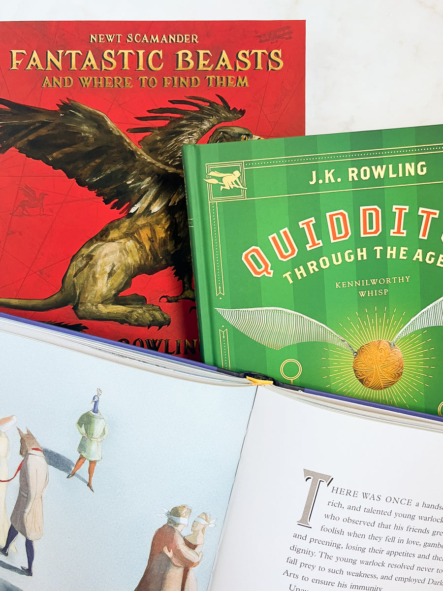 Hogwarts Library: The Illustrated Collection – Heirloom Art Co.