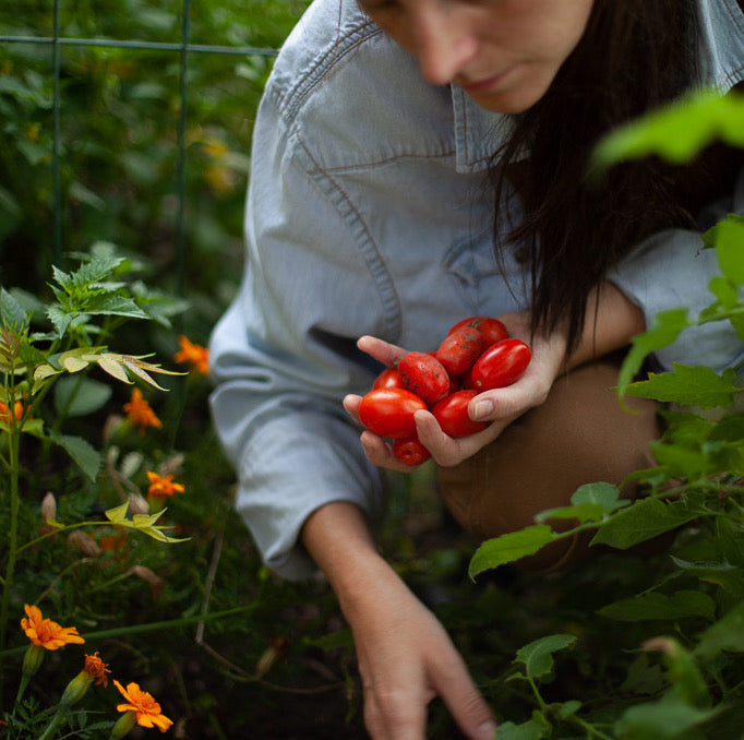 Let Good Things Grow: Garden Mornings