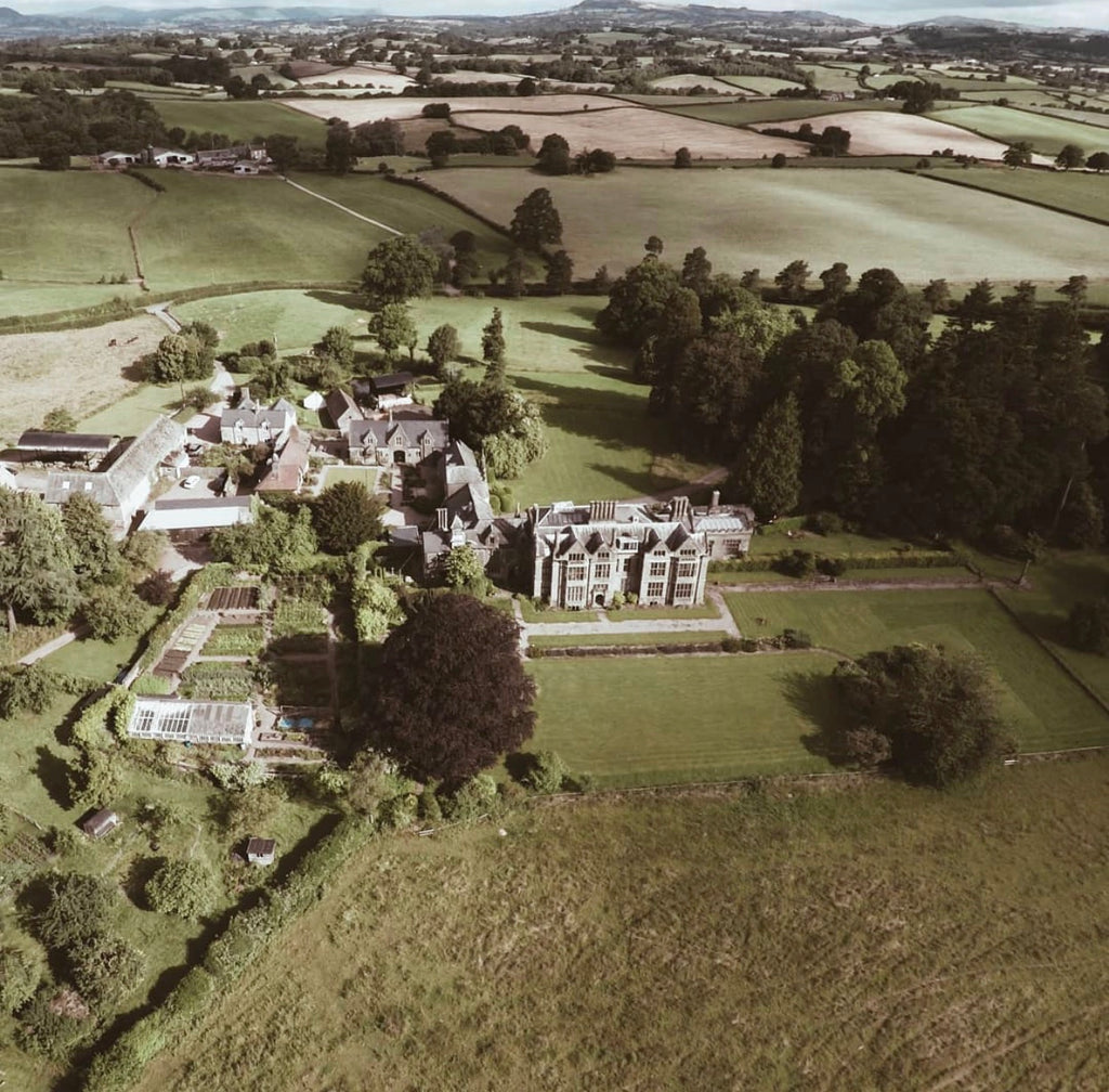 Old-Lands: Welsh Conservation, Foraging and Family at its very Finest.