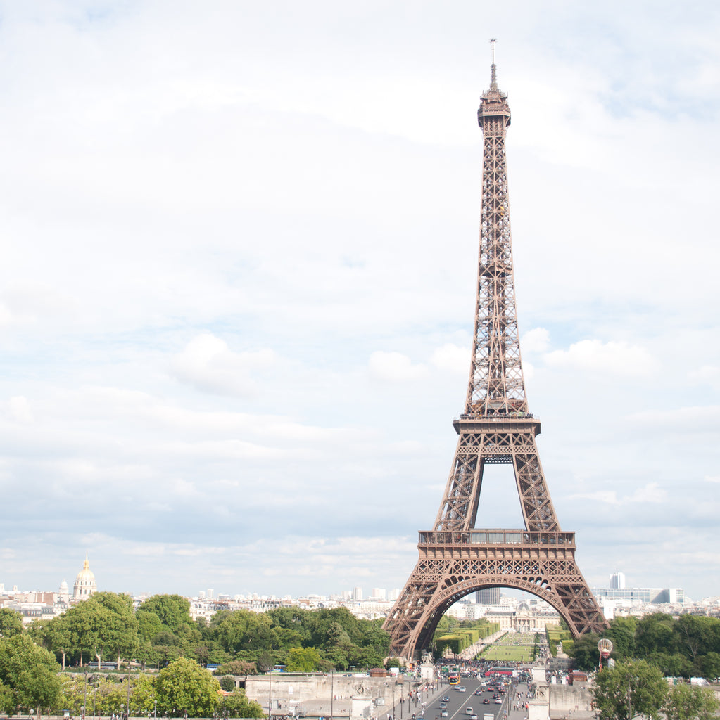 Travel Guide: Seeing Paris through Rose-Colored Glasses