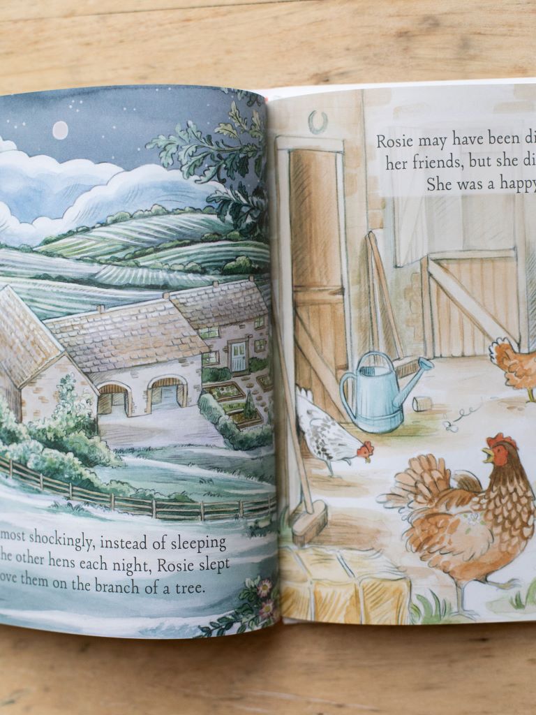 Sample pages of “Agnes and the Hen”. One page features a blue and green village at night with large black text. The other is inside an orange chicken coop with large black text.