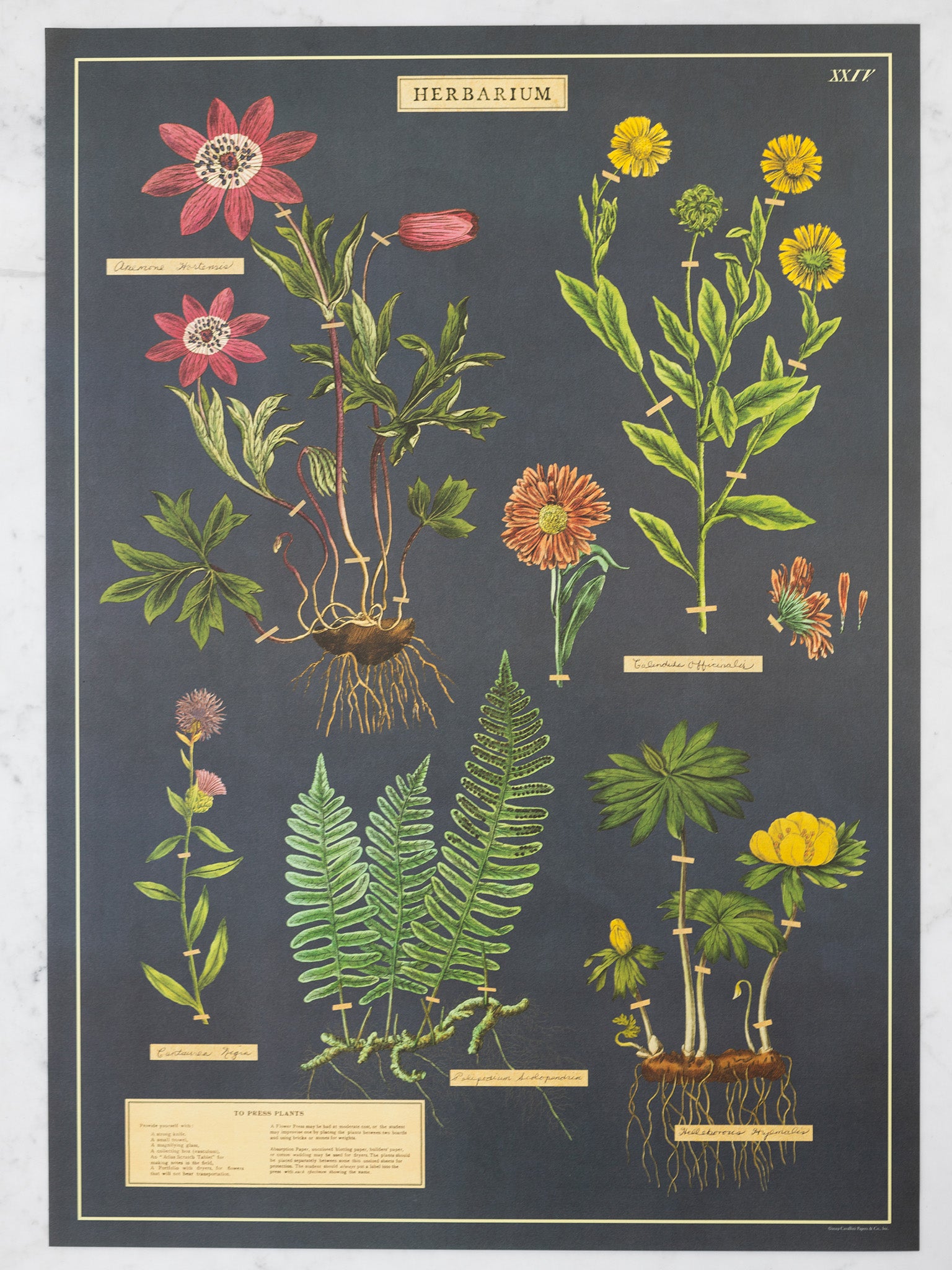 Vintage Posters – Heirloom Art Co