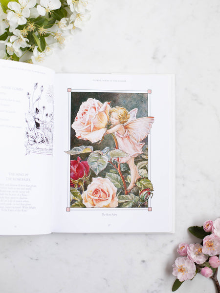 9F3A6446_grande.jpg?v=1652129451