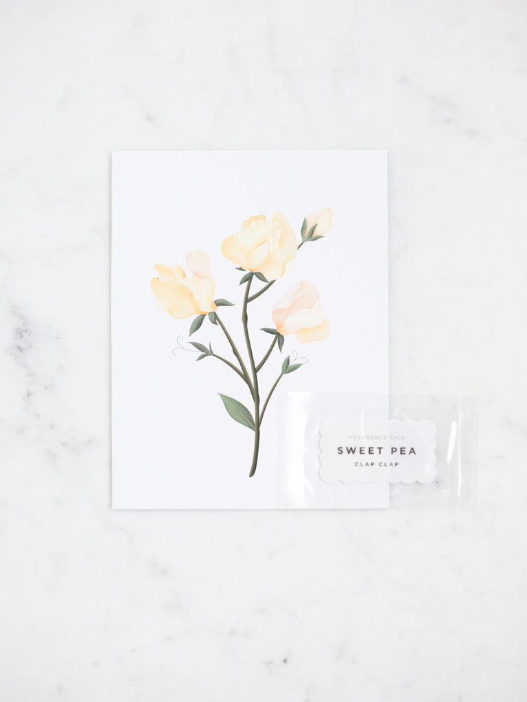 Close up shot of sweet pea botanical greeting card. Light yellow and blush flowers.