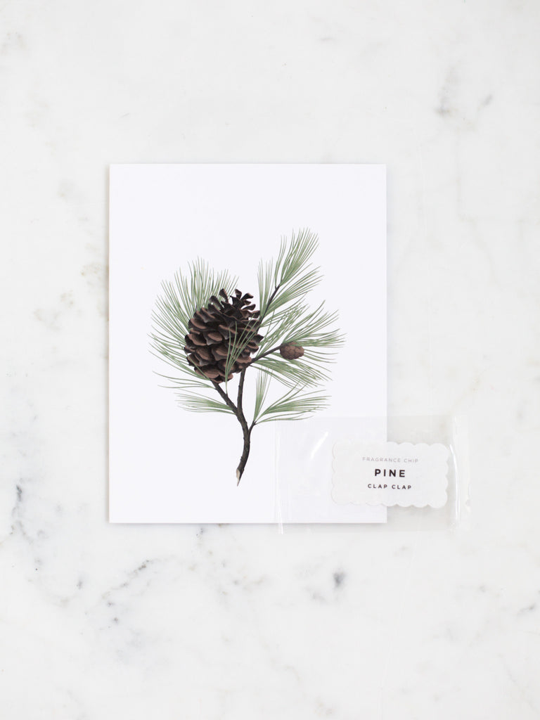 Pine botanical greeting card that shows a pinecone amongst pine leaves.
