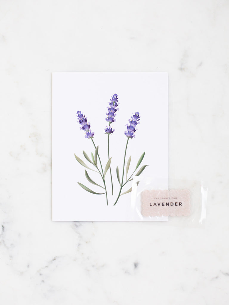 A botanical greeting card of purple lavender with green stems.