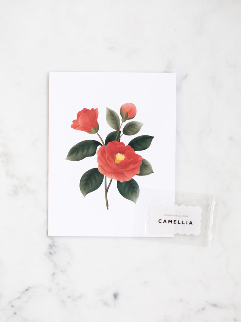 A tangerine Camellia botanical scented greeting card with dark forest green leaves.