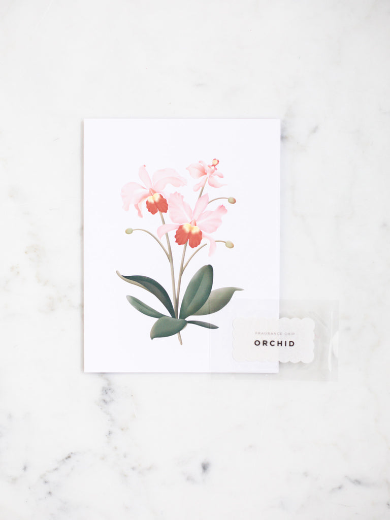 A blush pink orchid botanical greeting card with green leaves.