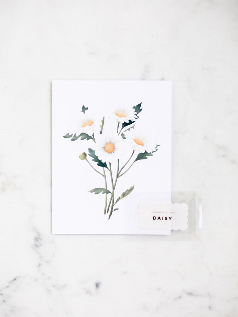 A botanical greeting card that features white daisies with an orange center.