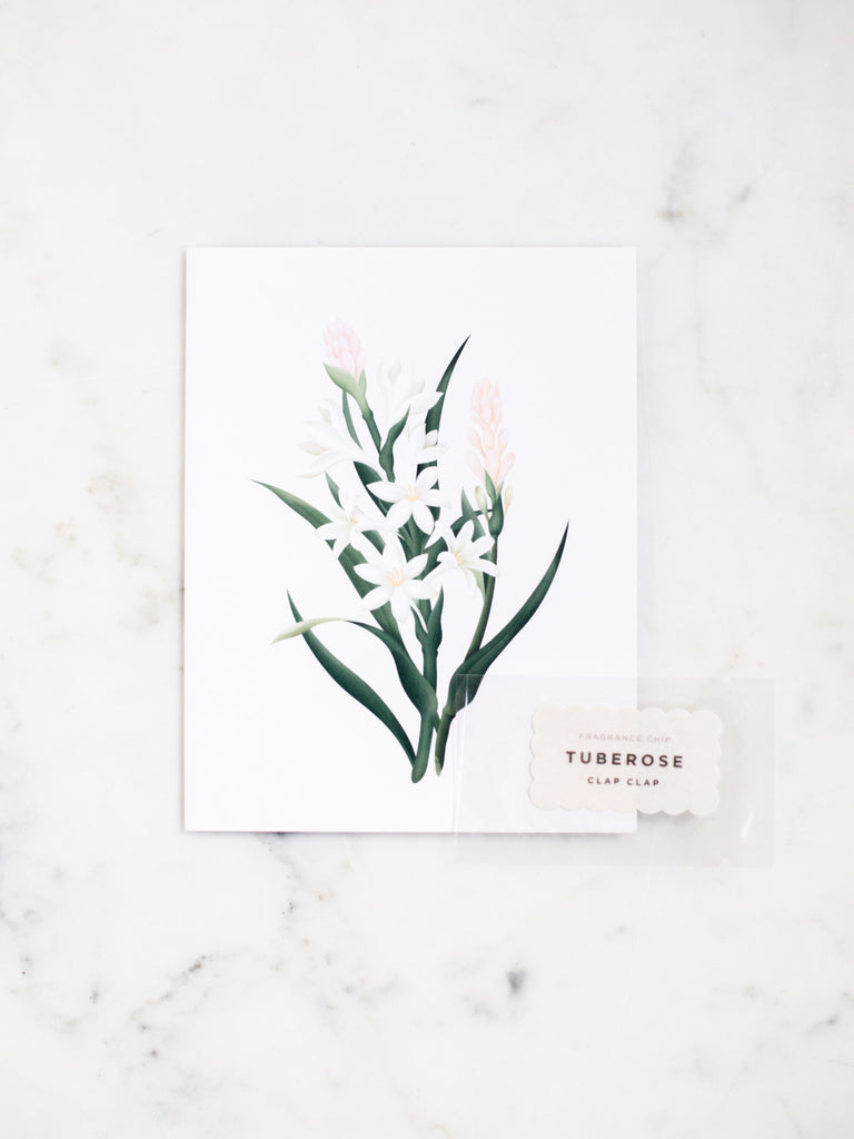 A botanical greeting card of tuberose, white flowers and long green stems.