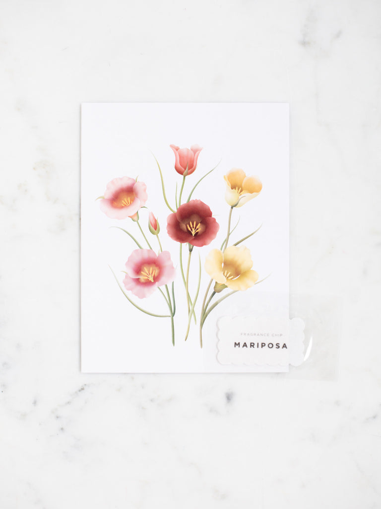 Red, pink, and yellow mariposas are featured on this botanical scented greeting card.