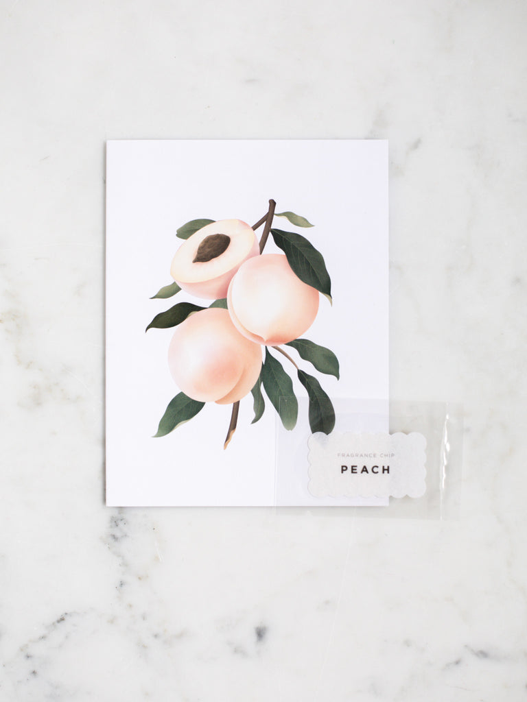 Light orange peach botanical greeting card with dark green leaves.