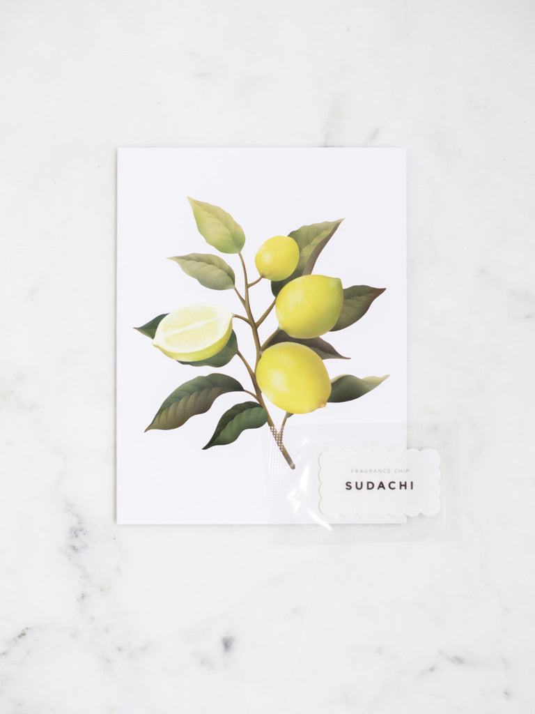 Lime green sudachi botanical greeting card with dark muted green leaves.