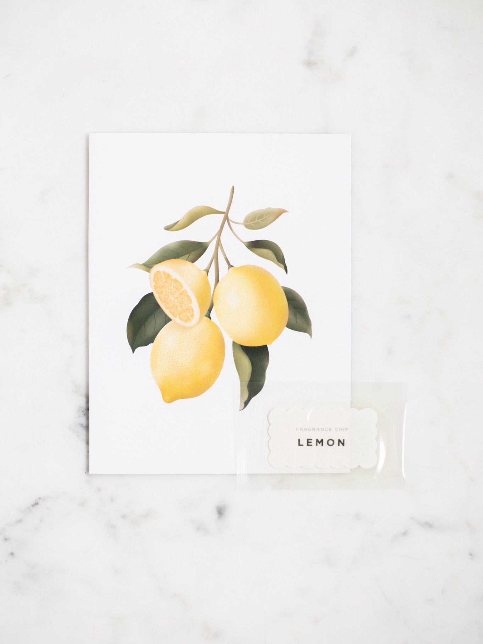 Botanical Scented Greeting Cards – Heirloom Art Co.