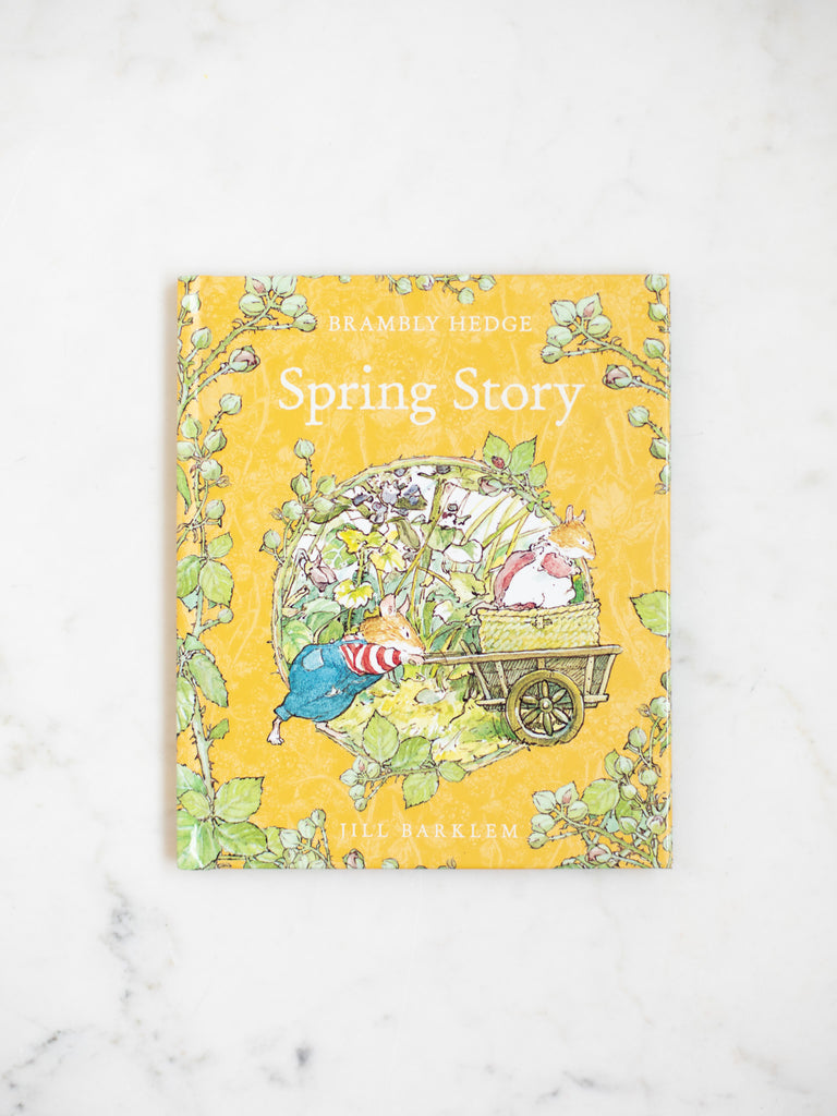 The Spring Story book cover, yellow with leafy branches and character art.