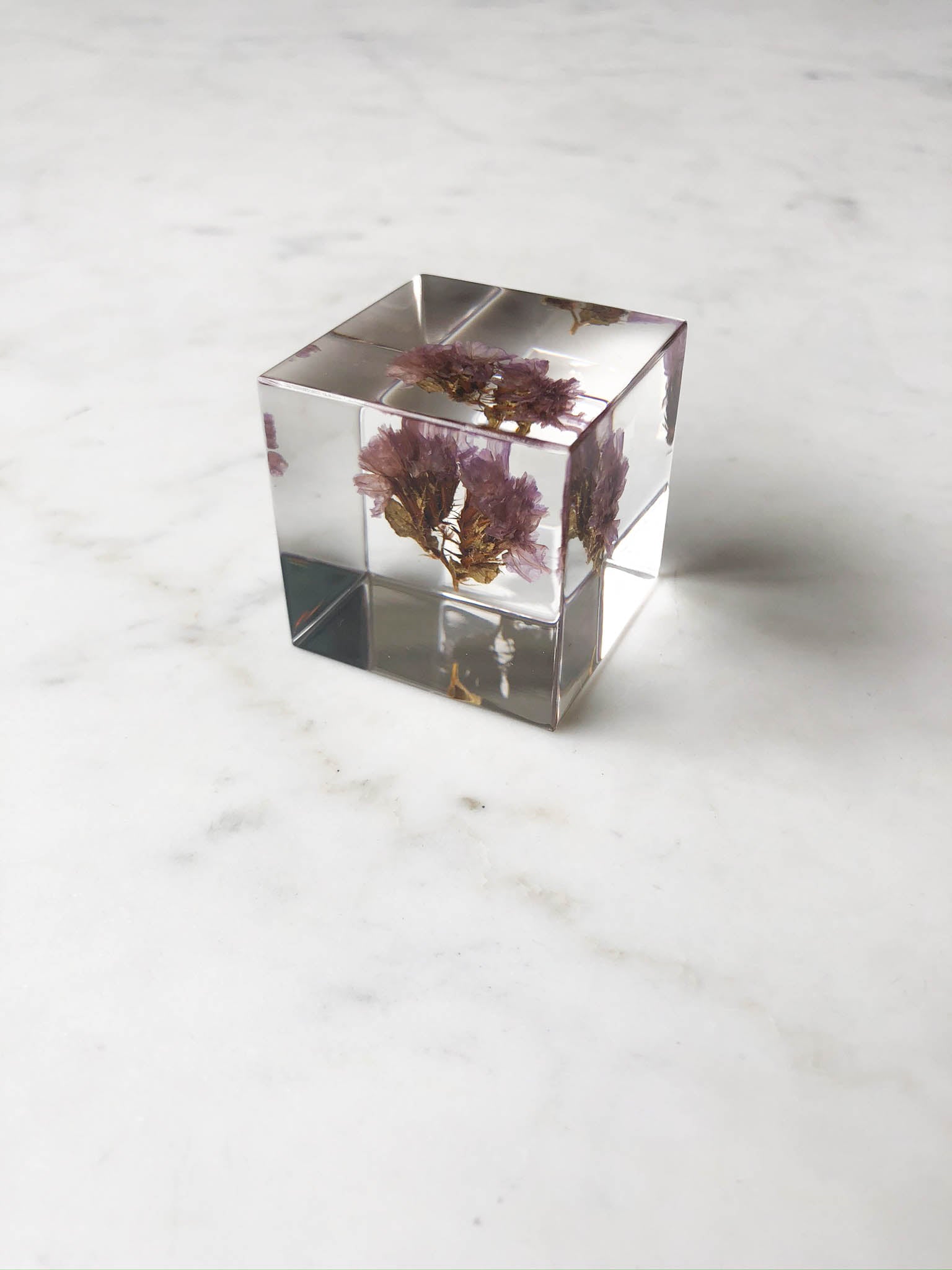 sola cube ボタニカルオーナメント Sola Cube – Heirloom Art Co.
