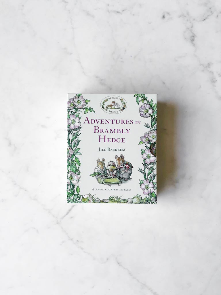 Adventures in Brambly Hedge book cover with purple flower leaf branches and a character art in the middle.