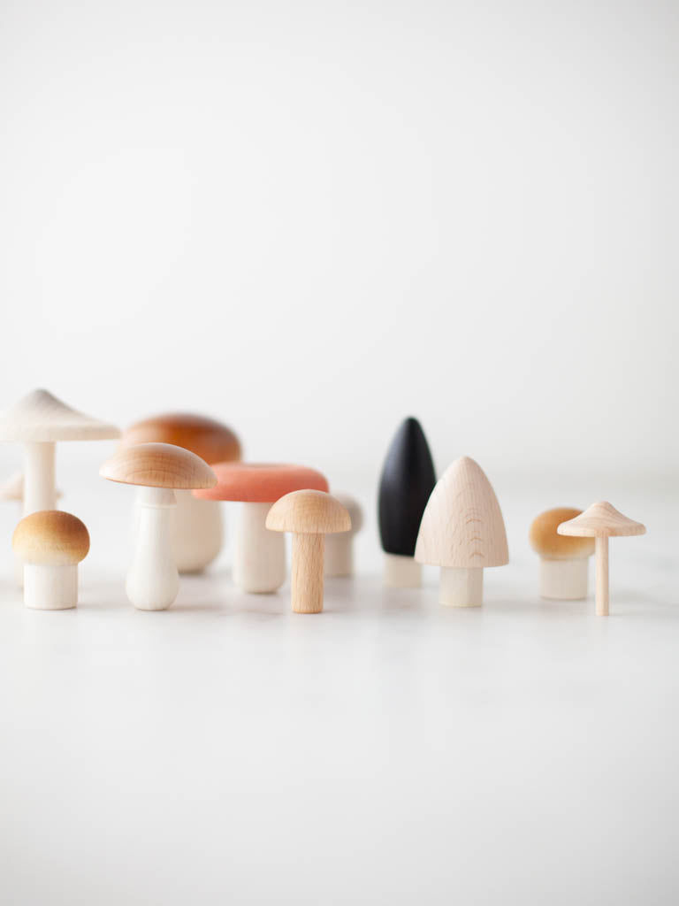Various wooden mushrooms standing on a table. 
