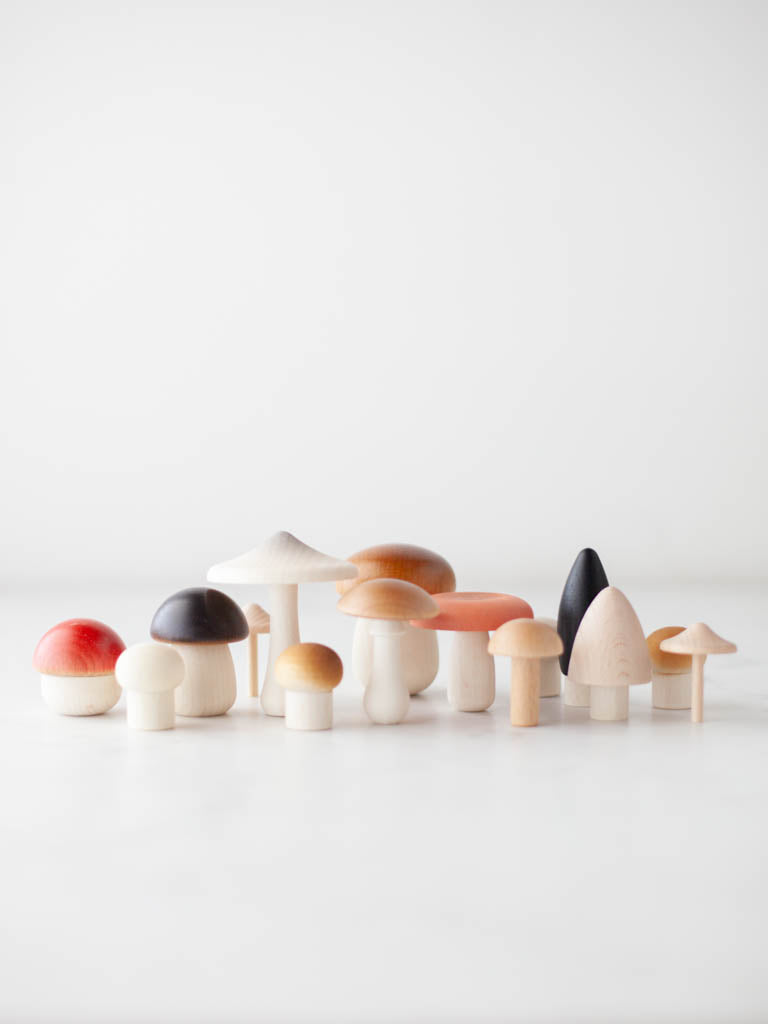 Various wooden mushrooms standing on a table. 