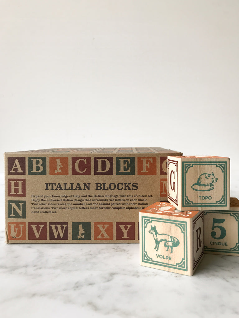 Some blocks decorated with letters, numbers, and animals on their sides with their box they come in behind them titled “Italian Blocks.”