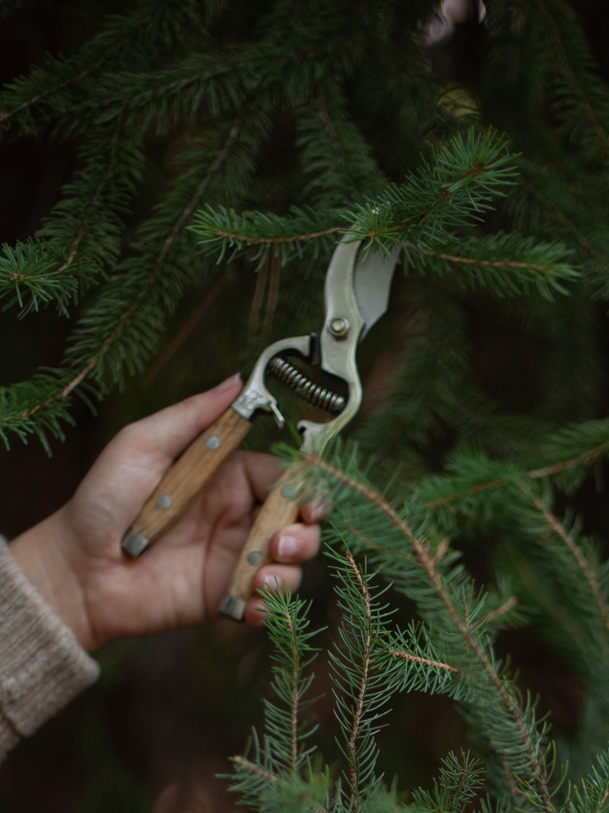 garden shears - wooden handle - Amtech